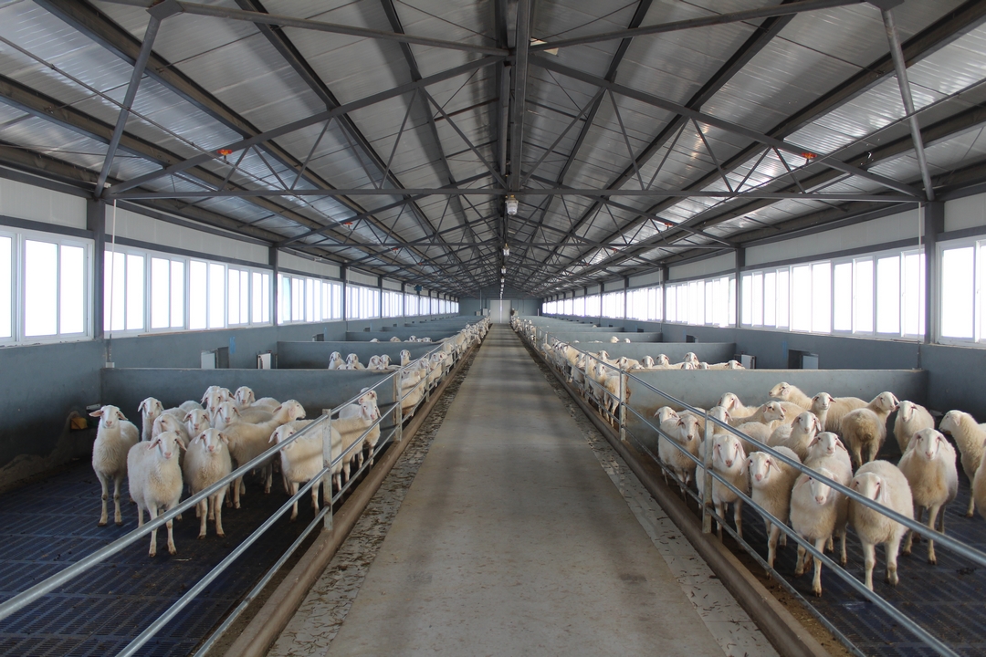 當(dāng)好產(chǎn)業(yè)扶貧主力軍，打贏脫貧攻堅(jiān)戰(zhàn)